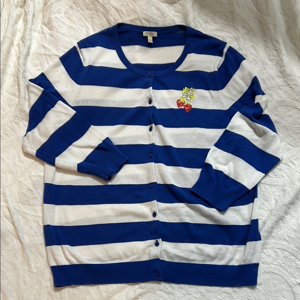 Striped Blue and White Cardigan with Embroidery